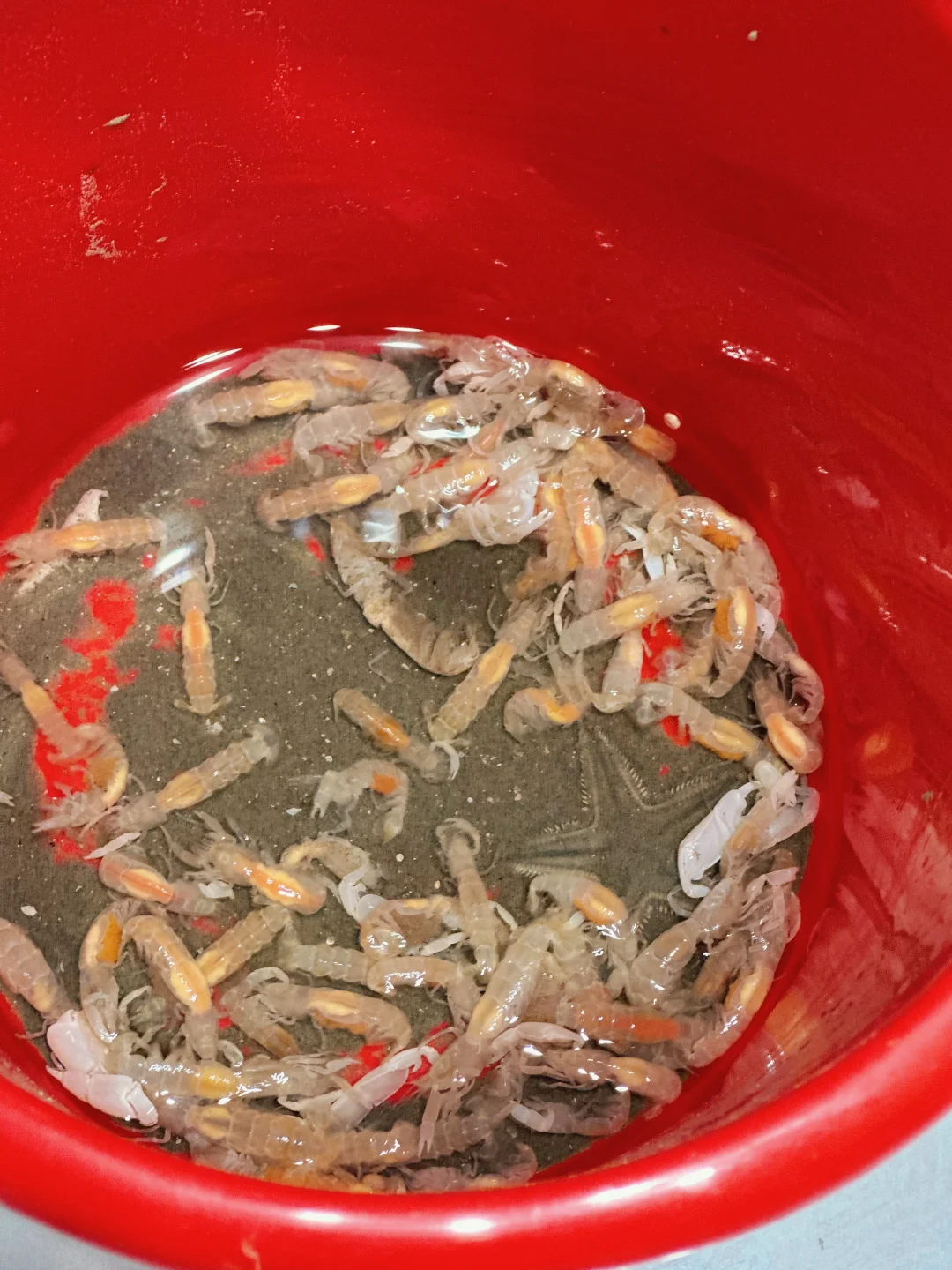 防城港 ｜ 五天四夜