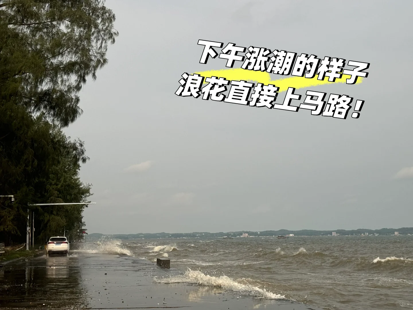 防城港贝壳自由！（附位置）