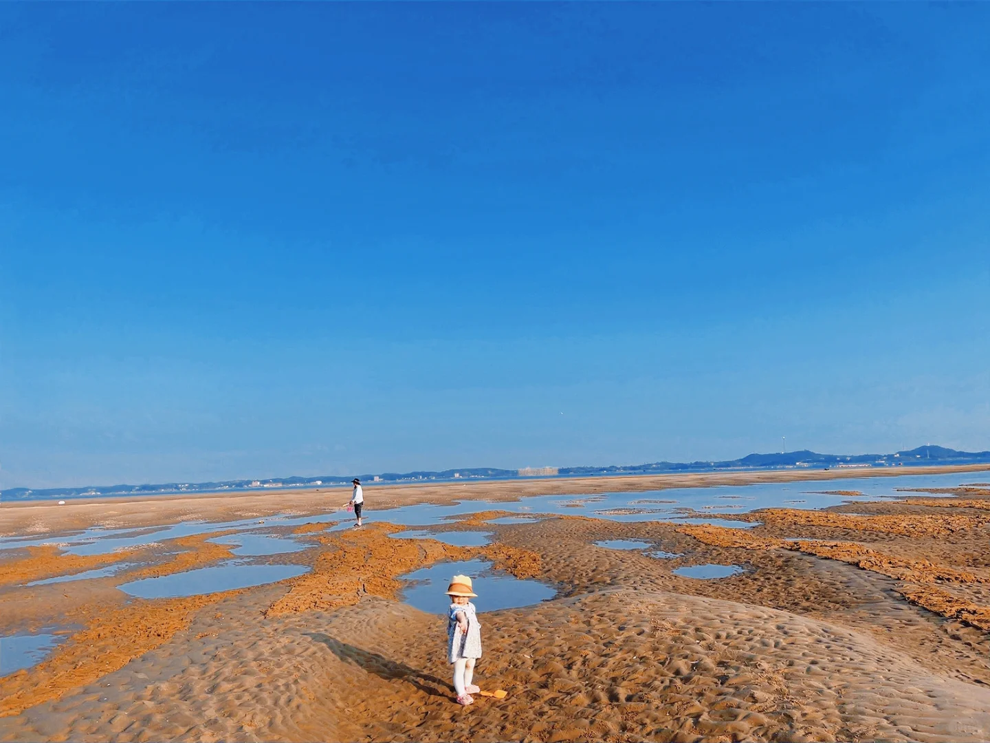 防城港捡贝壳🐚捡到腰直不起来🤪