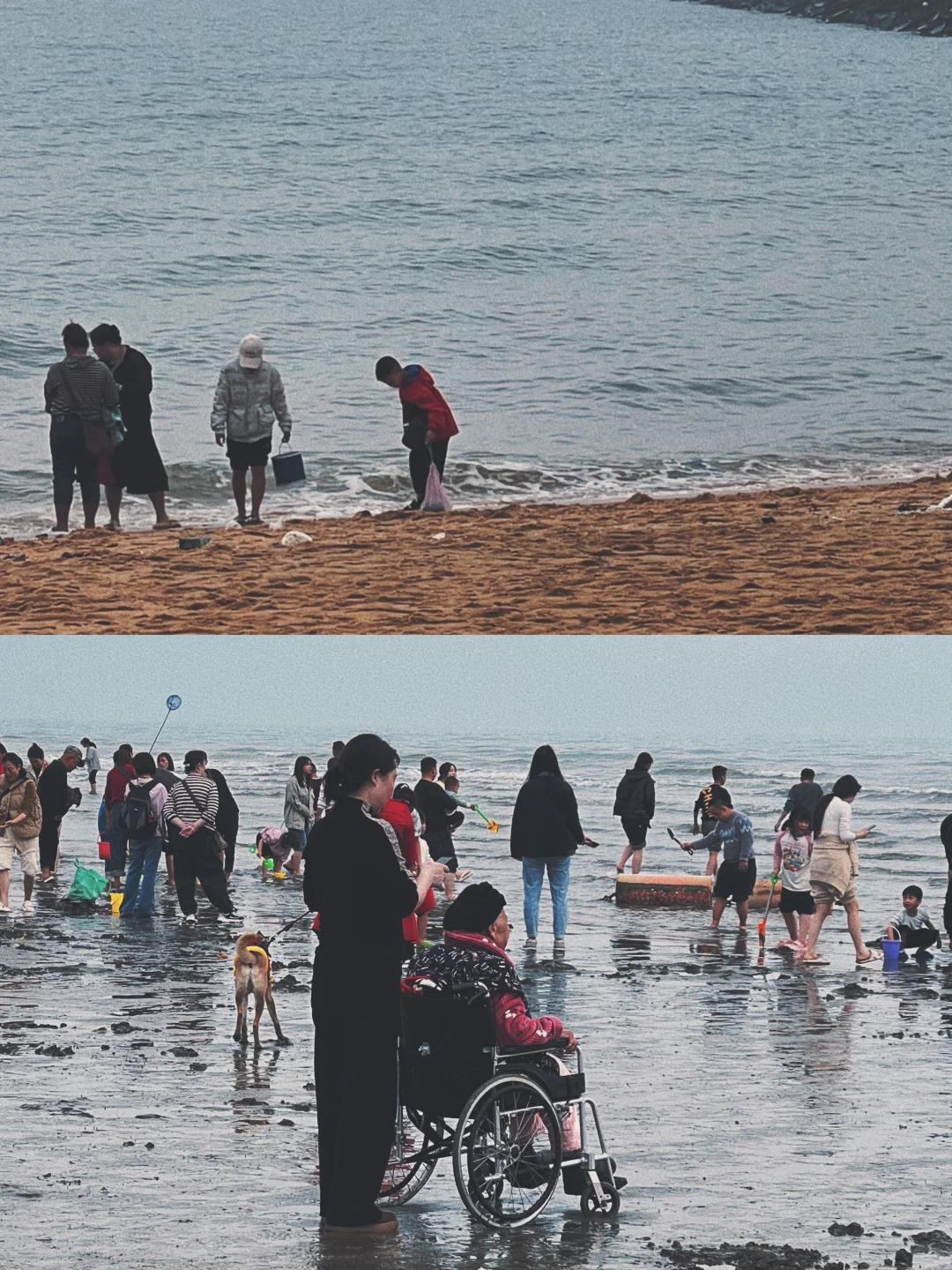 春节防城港已回｜我好像拍不到人生照片😢