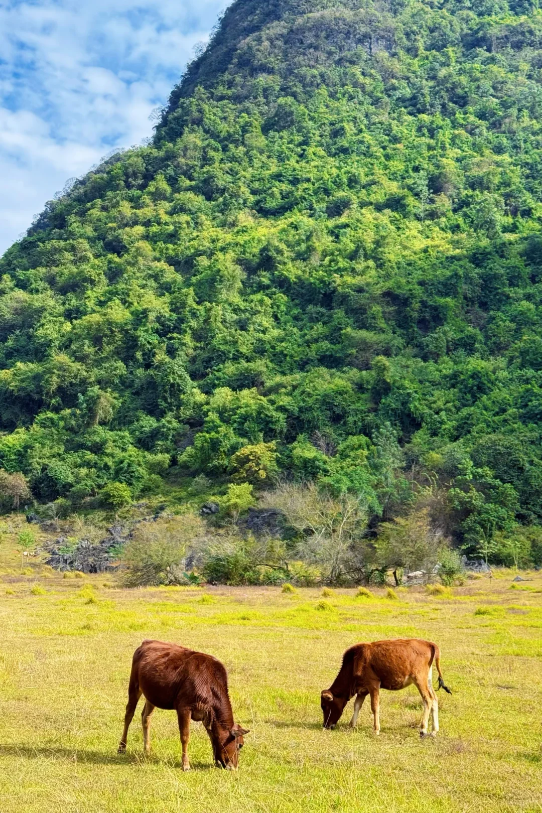 别有洞天｜柳州一日游🧳