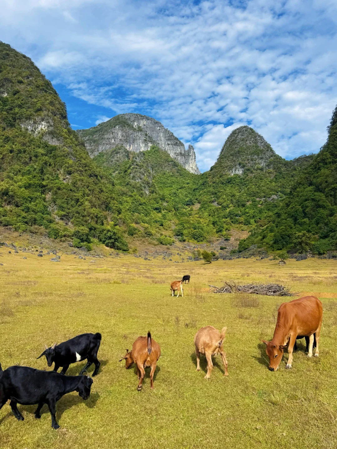 别有洞天｜柳州一日游🧳
