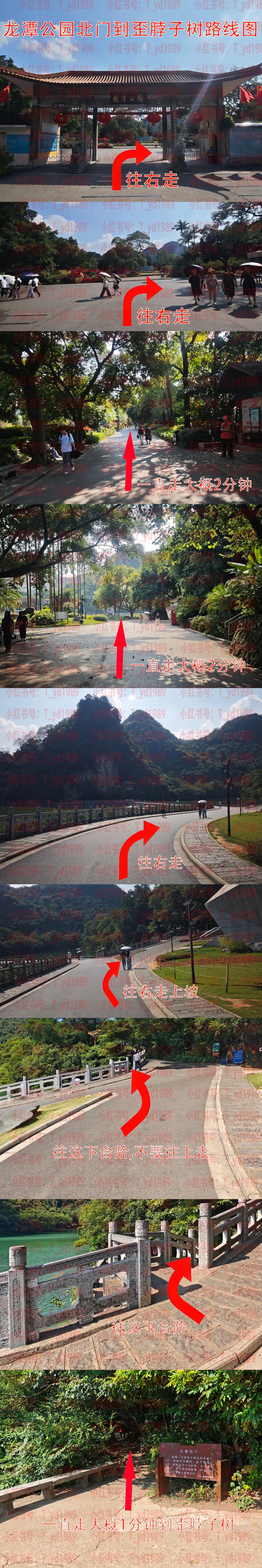 龙潭公园根本不像小红书说的那样……服了