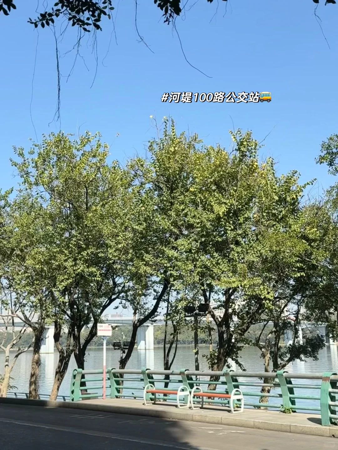 柳州CityWalk｜土著实用版（附逛吃地图）