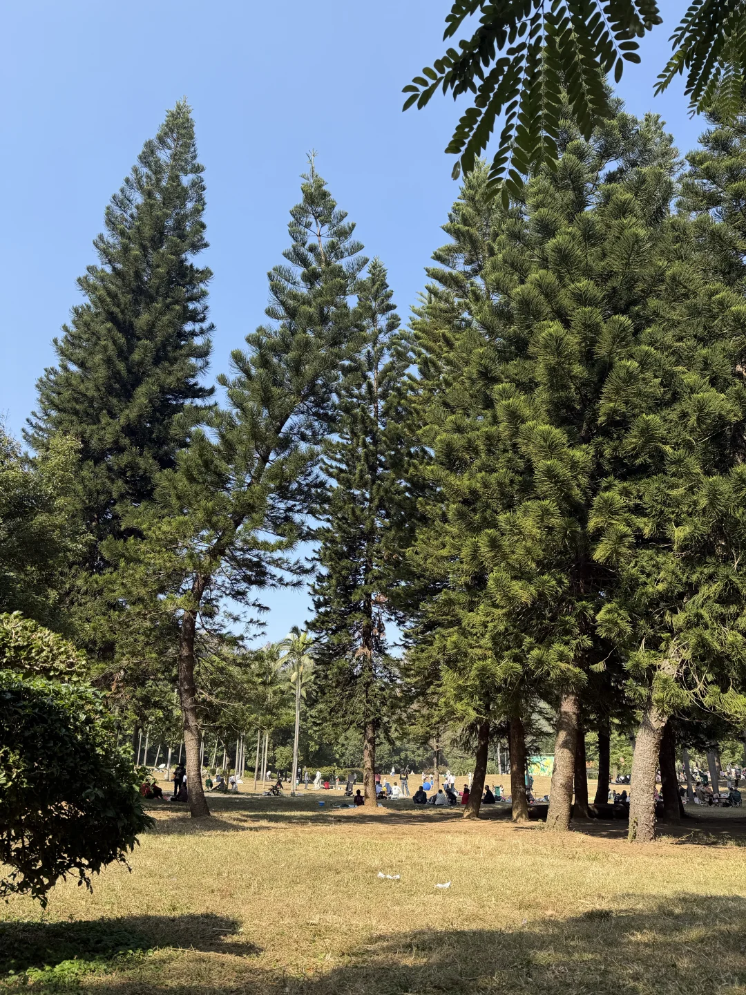 柳州是一个极度适合逛吃的城市