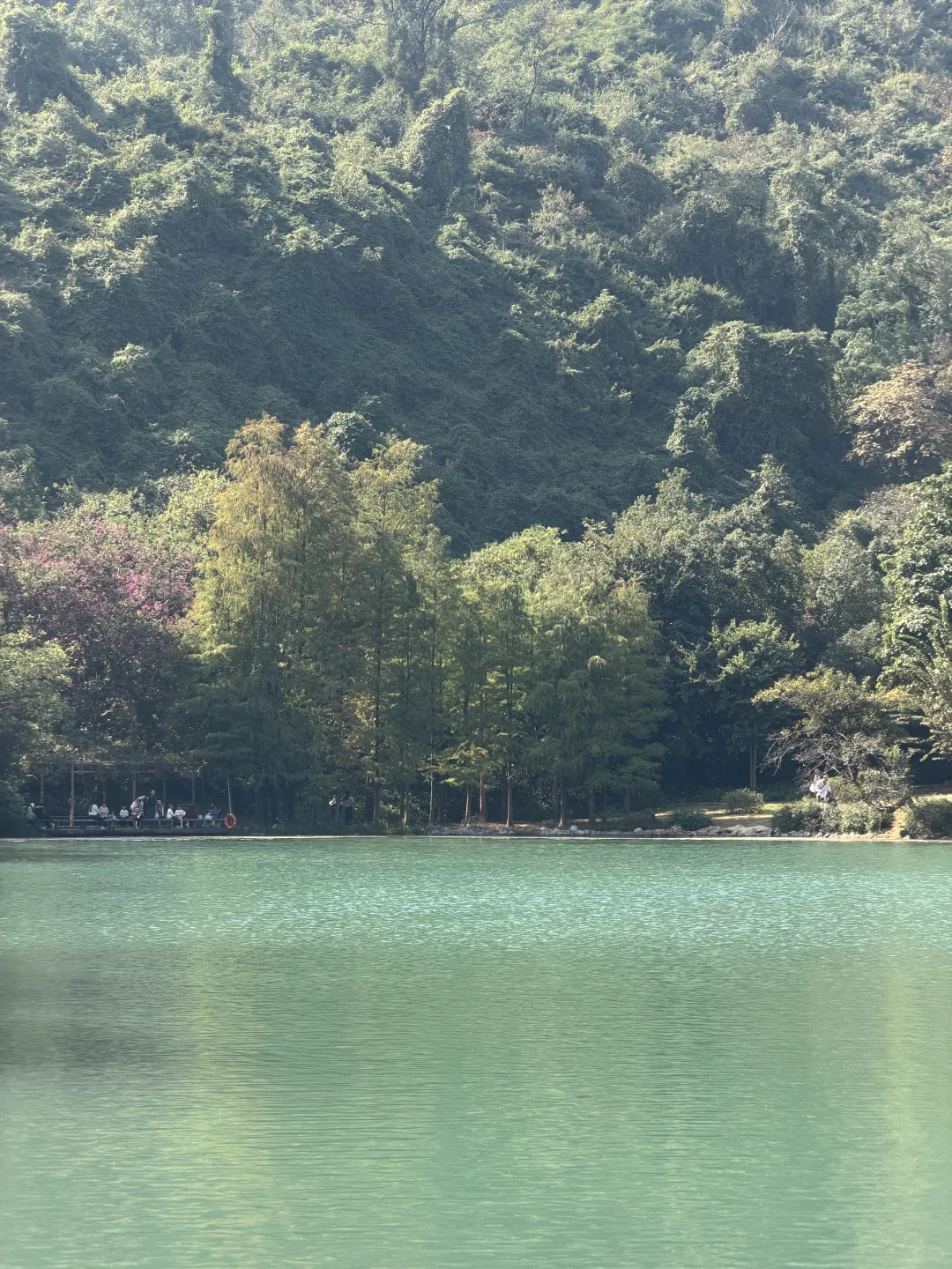 柳州是一个极度适合逛吃的城市