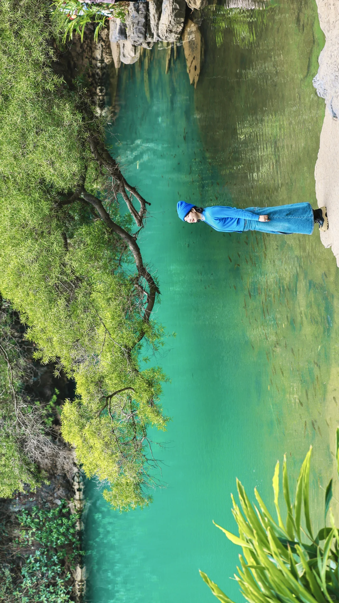 柳州龙潭公园｜绿野仙踪🍃