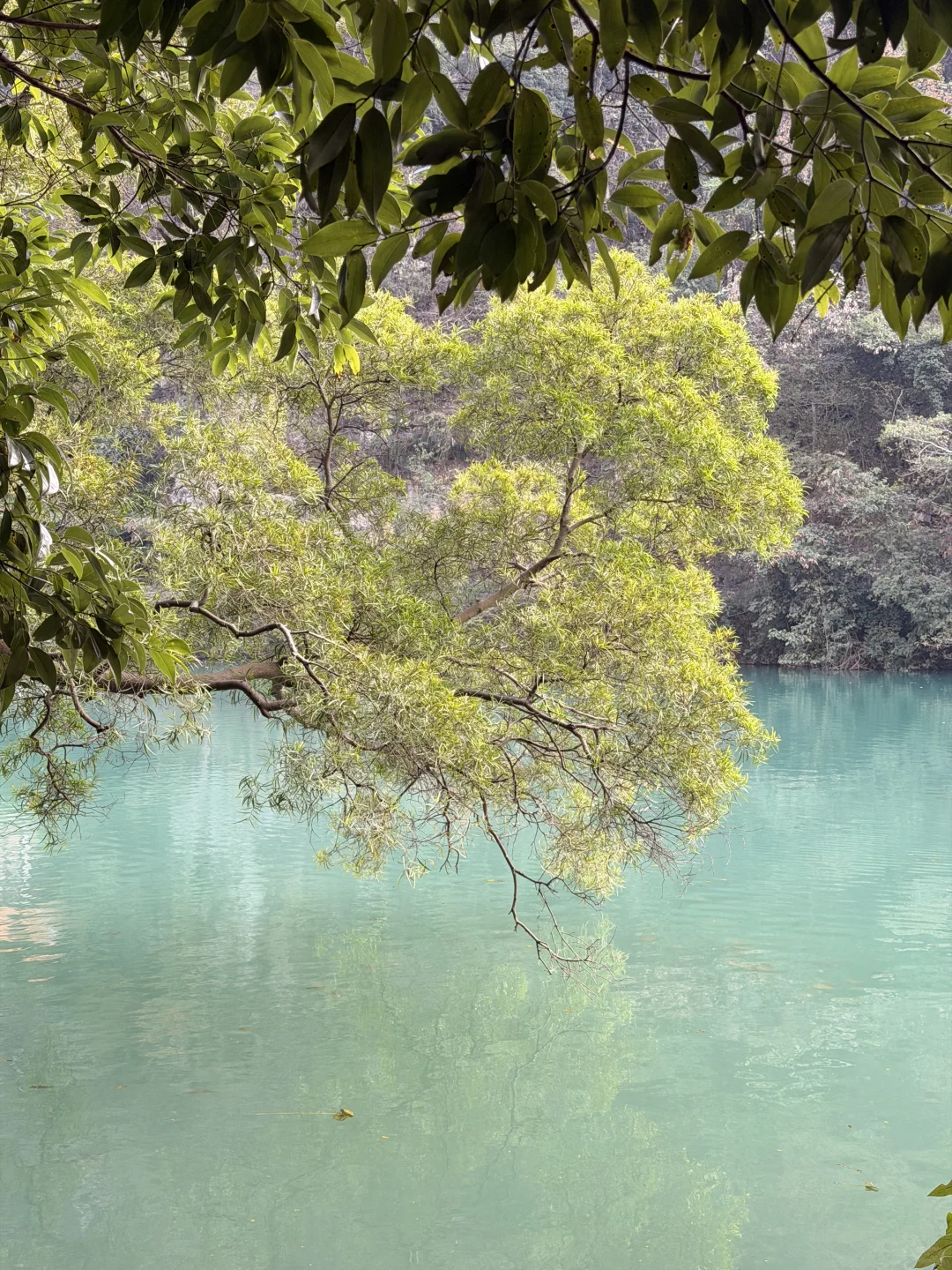 柳州龙潭公园｜被山水包围的松弛感