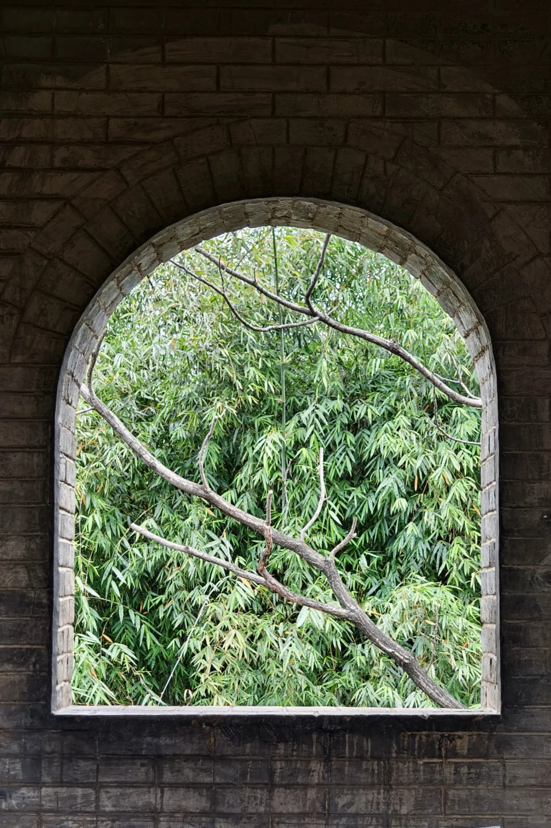 ✨柳州三天两夜💰吃喝玩乐保姆级攻略🔥