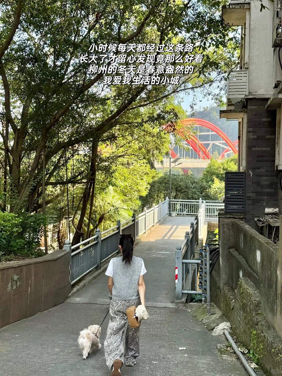 柳州CityWalk｜土著实用版（附逛吃地图）