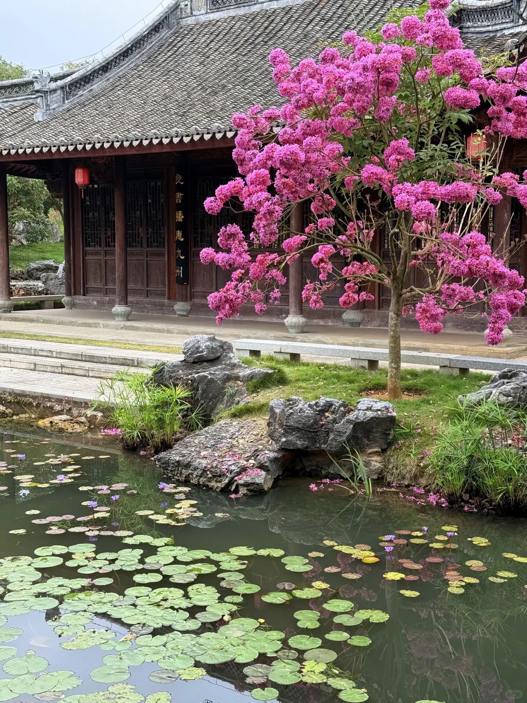 南宁的十二月…真的太不合群了…