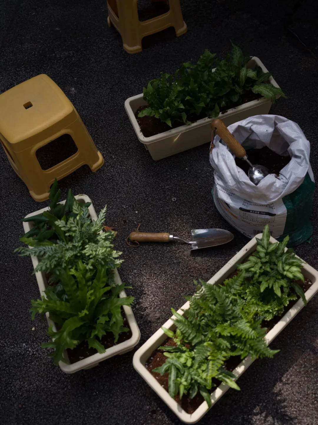 小博物馆 创作驻地| 广西 南宁