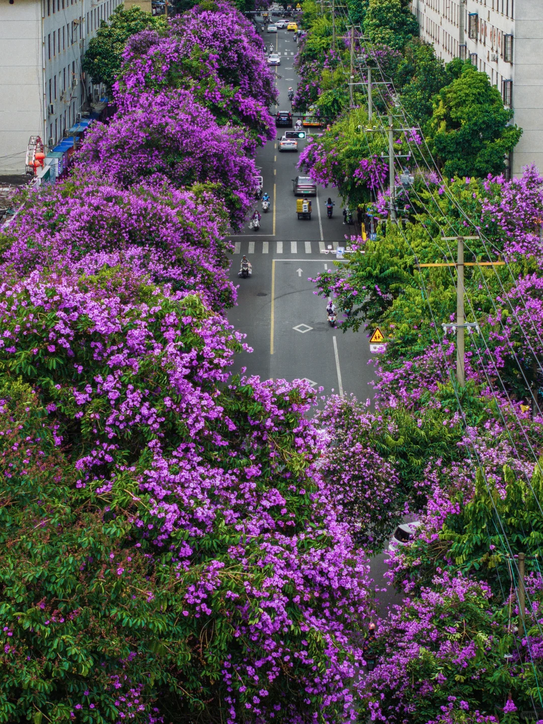 你一定不认识我，但你可能看过我拍的南宁