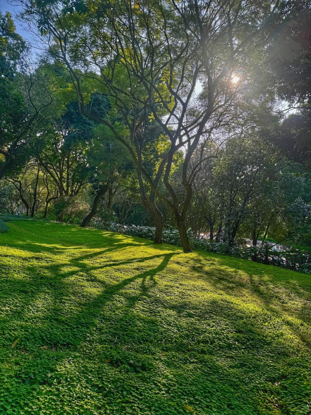 南宁。。。真的没白来，太值了。。。