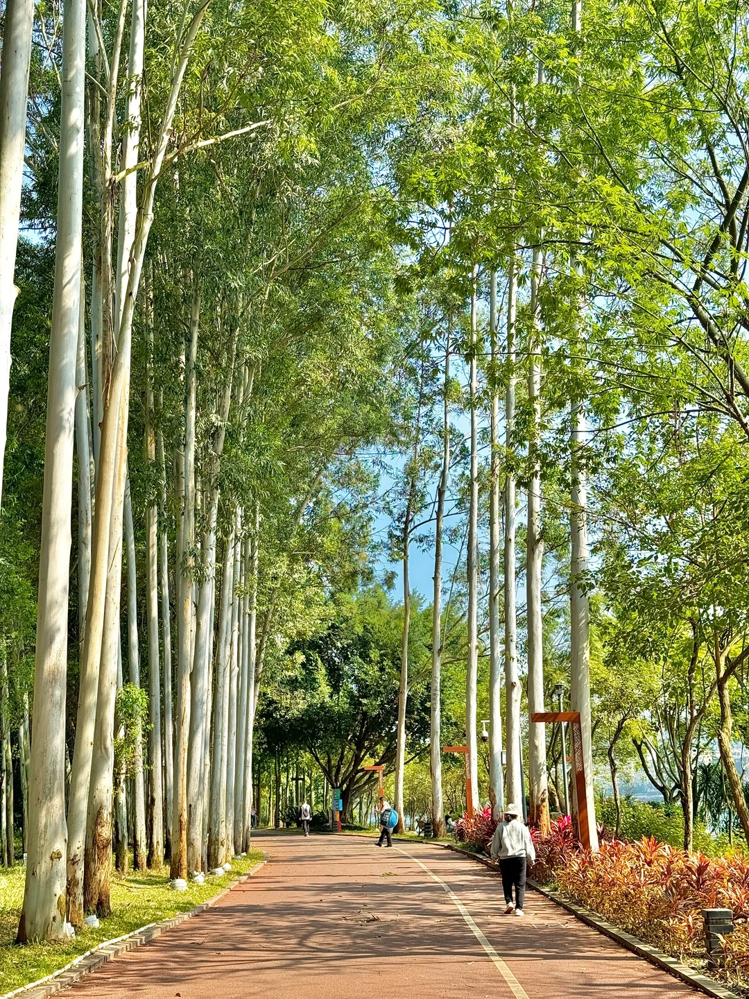 南宁。。。真的没白来，太值了。。。