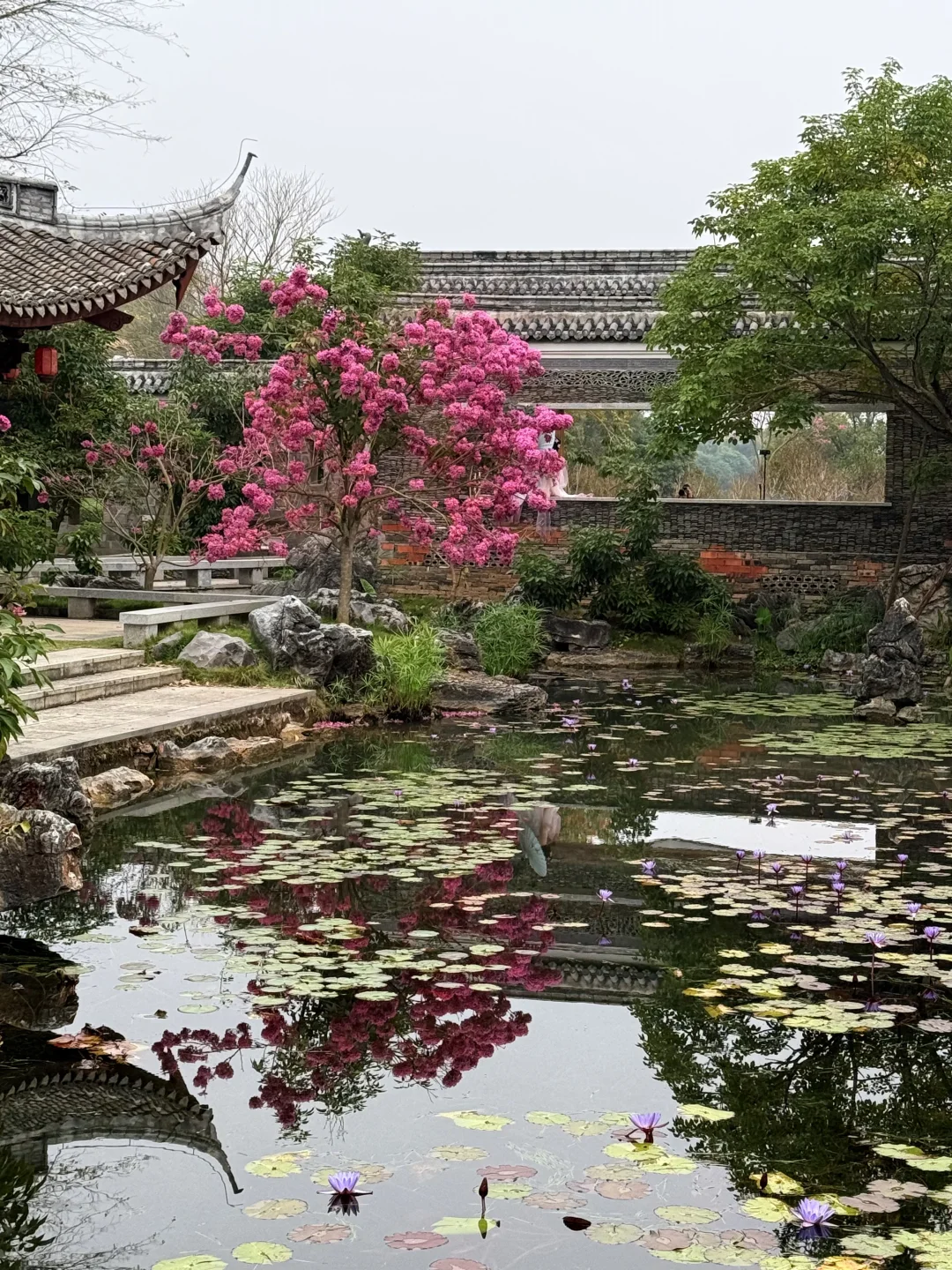 南宁的十二月…真的太不合群了…