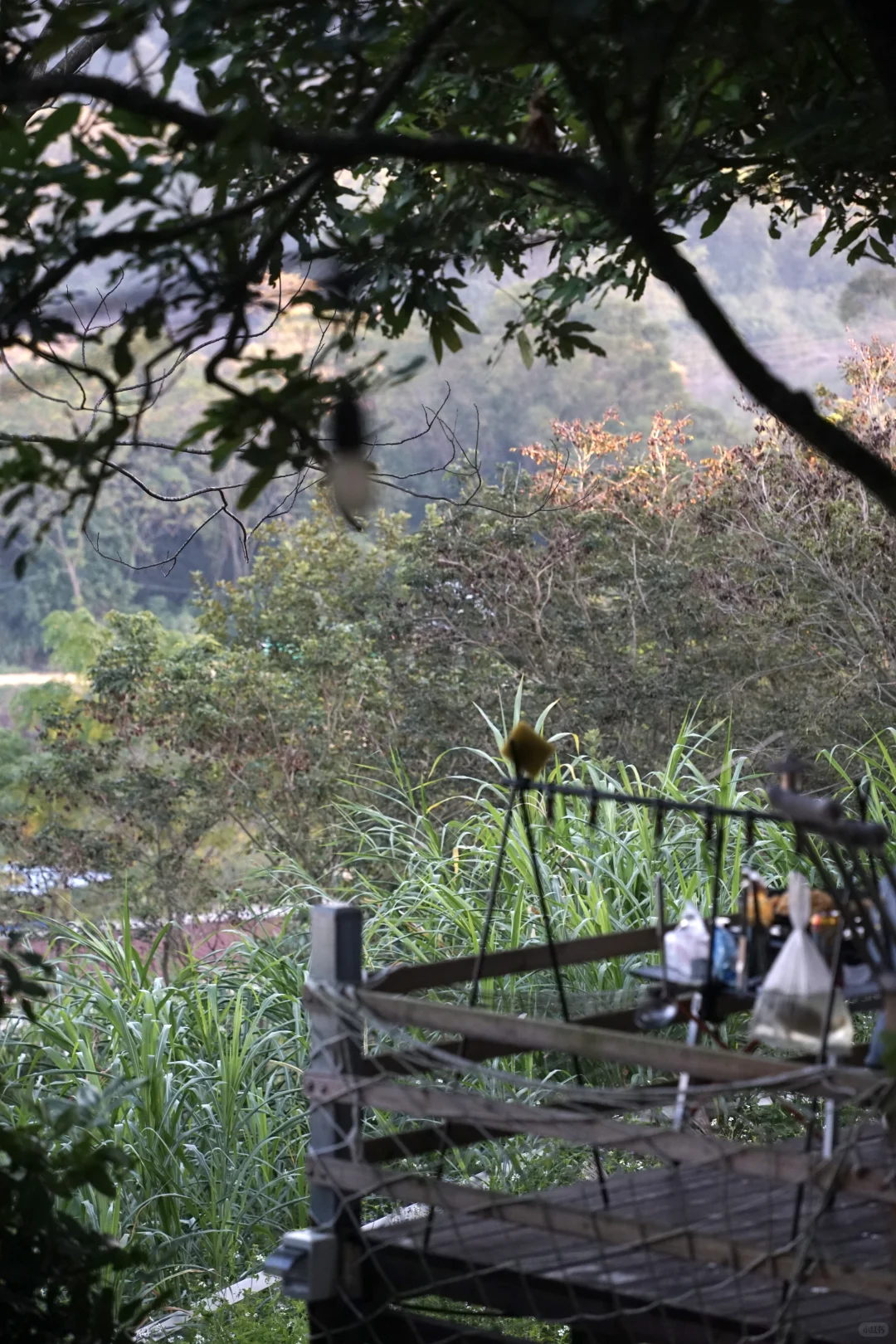 南宁打工人速冲！35分钟到山顶露营地～