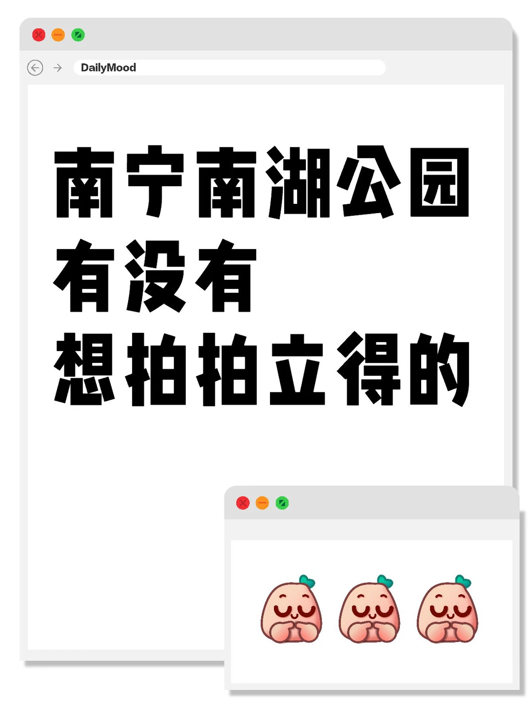 南湖公园花开啦！