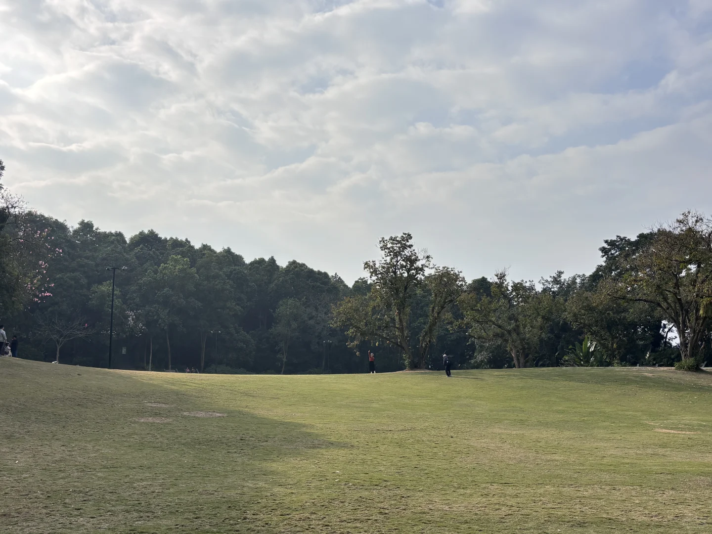 南宁吸氧天花板🌿闯入市区的“绿野仙踪”秘