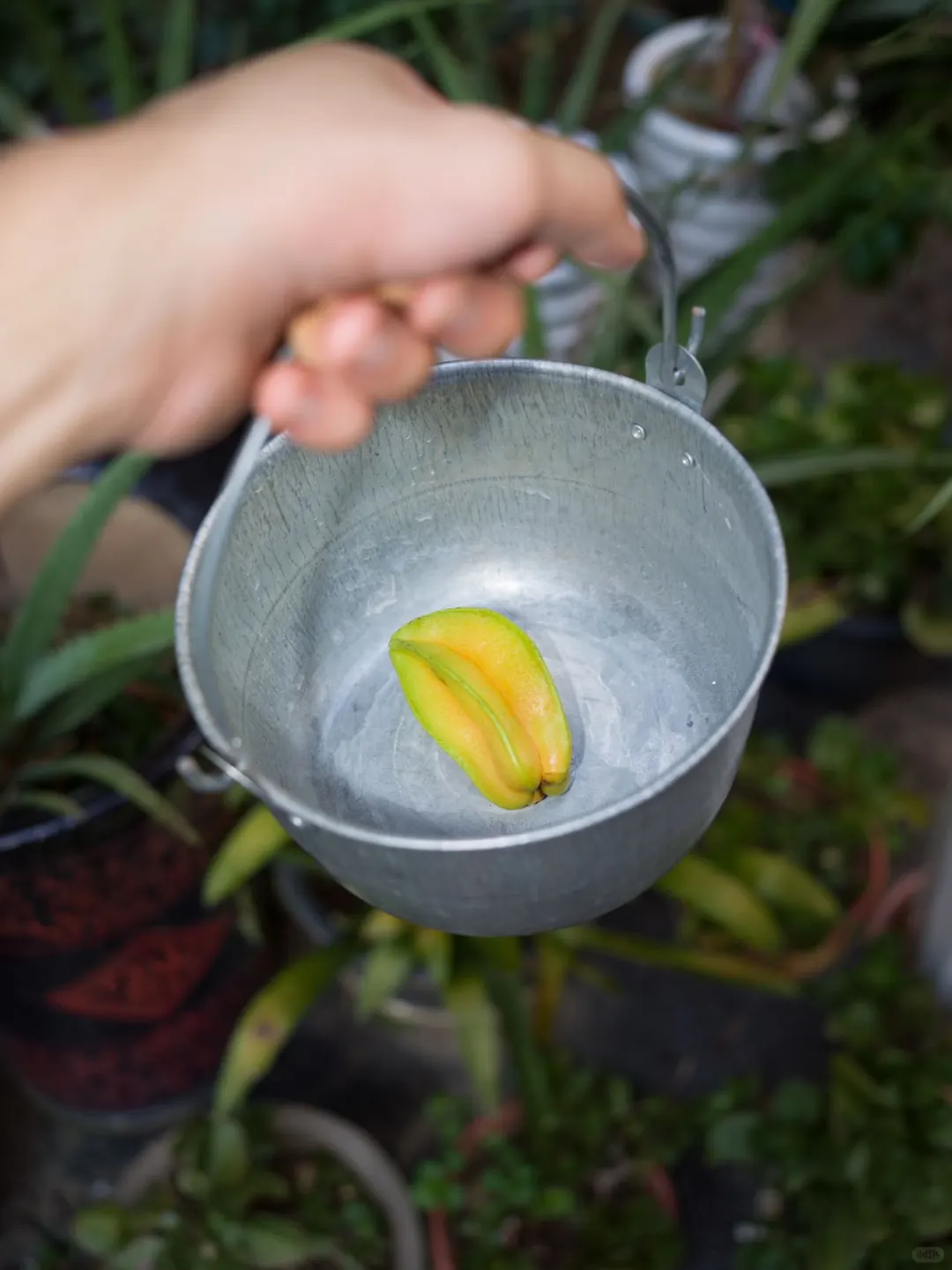 小博物馆 创作驻地| 广西 南宁