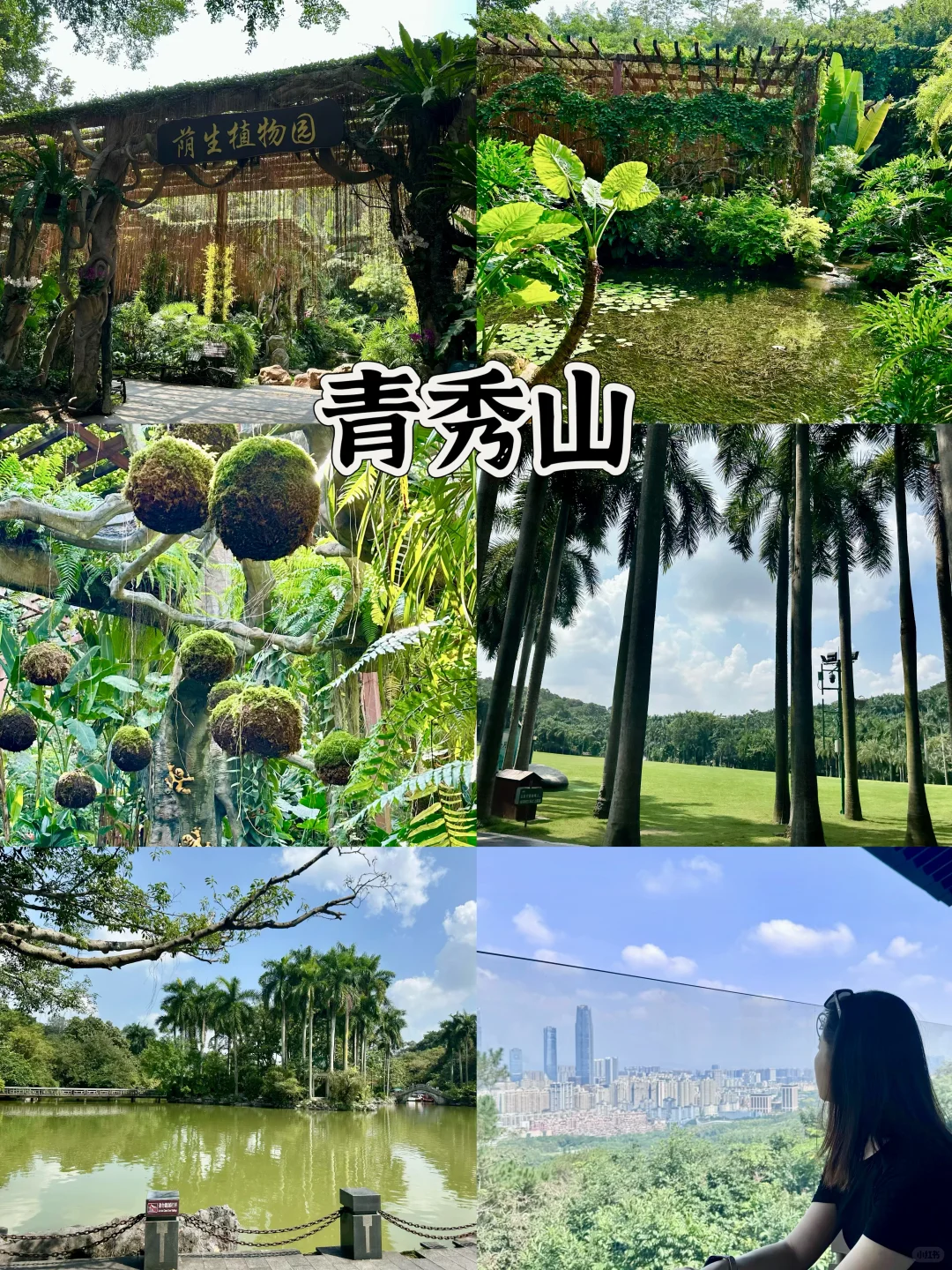 南宁｜本地人带着玩就是轻松➕愉快