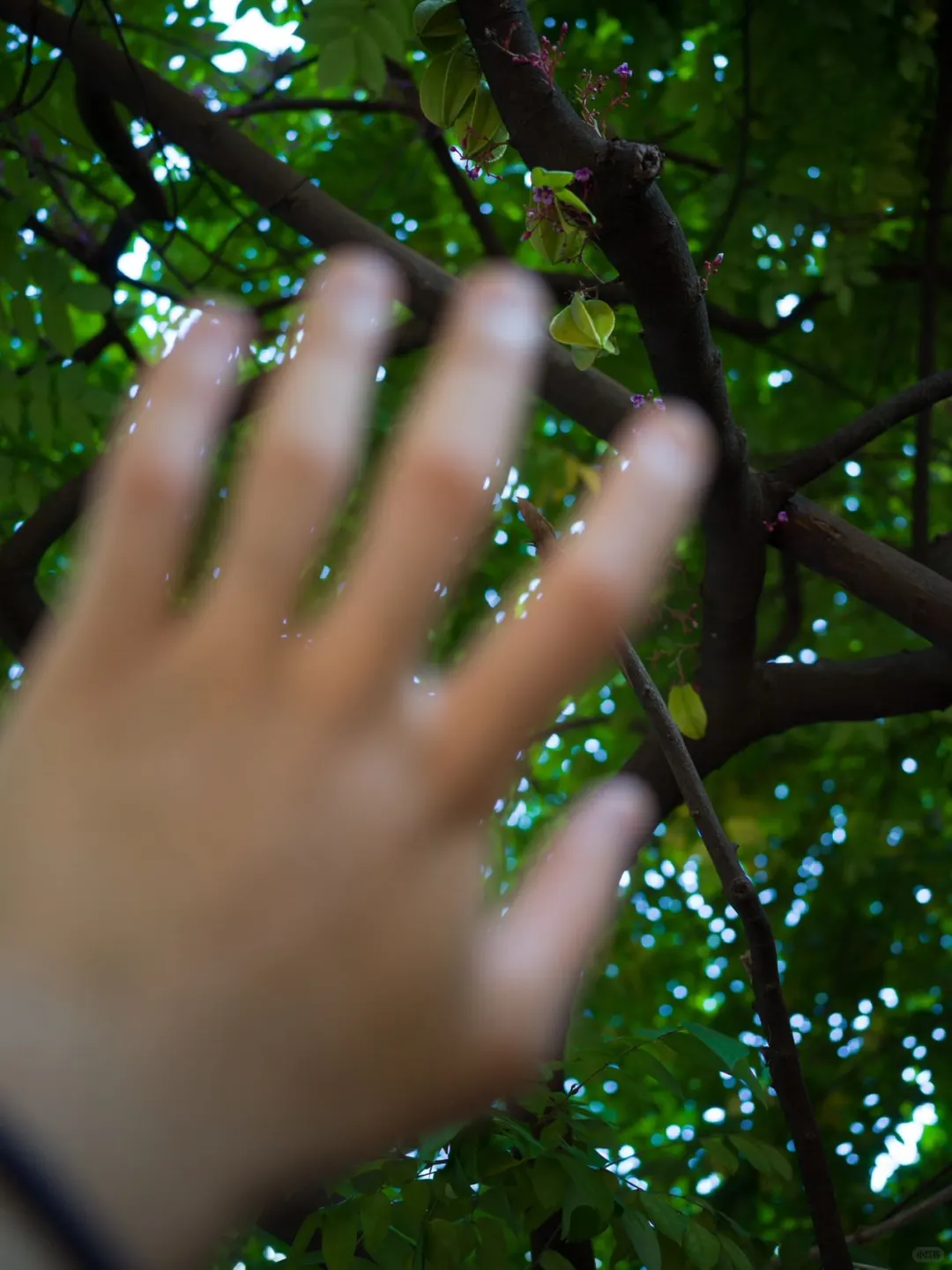 小博物馆 创作驻地| 广西 南宁