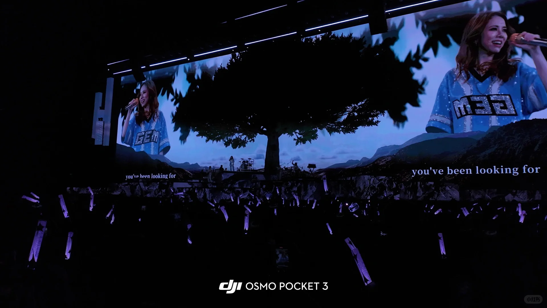 🎶 邓紫棋南宁站回忆录 🌟