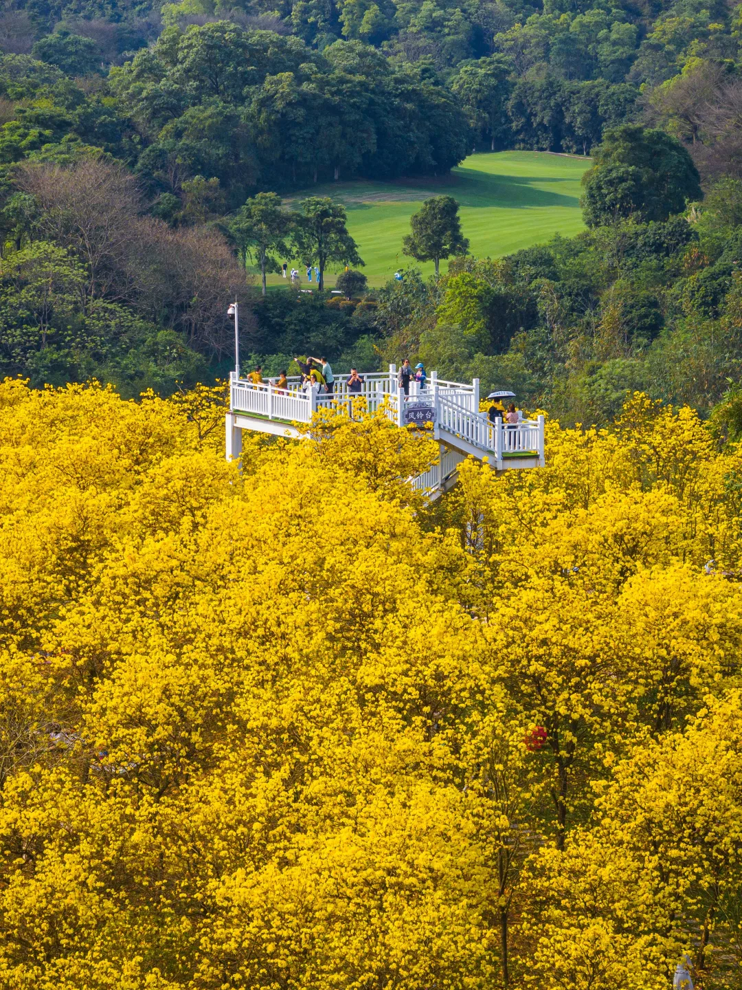 你一定不认识我，但你可能看过我拍的南宁