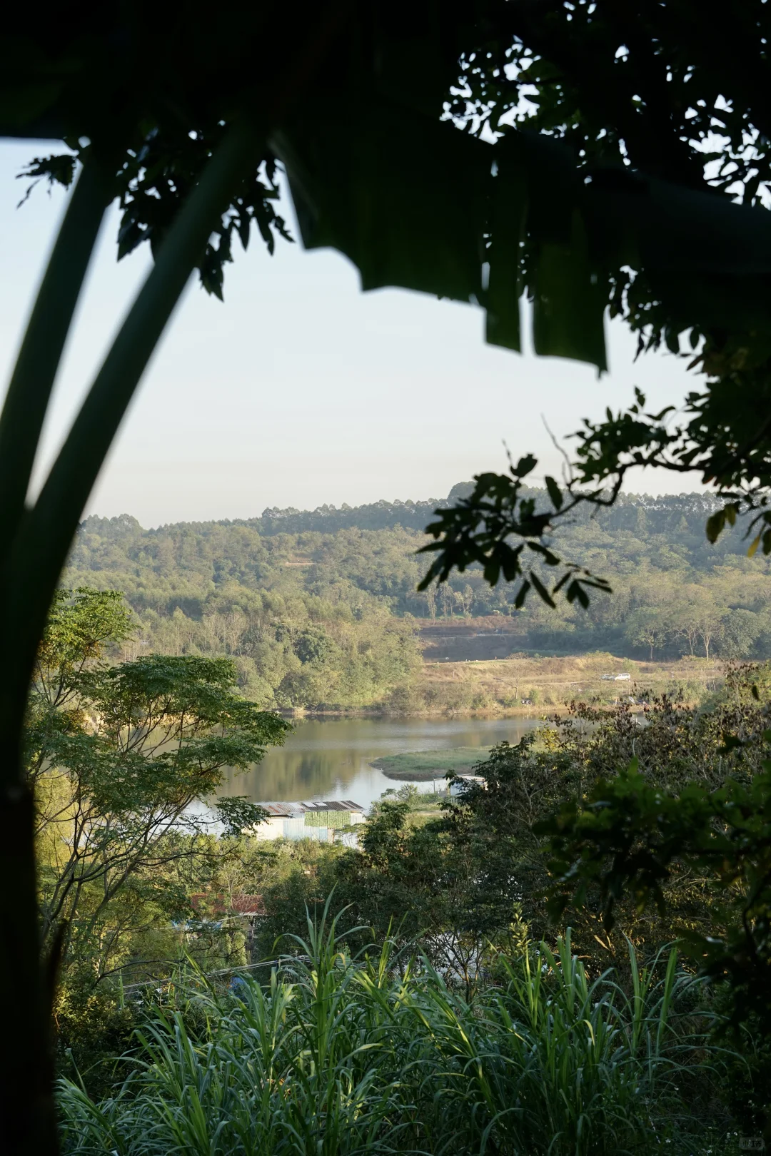 南宁打工人速冲！35分钟到山顶露营地～