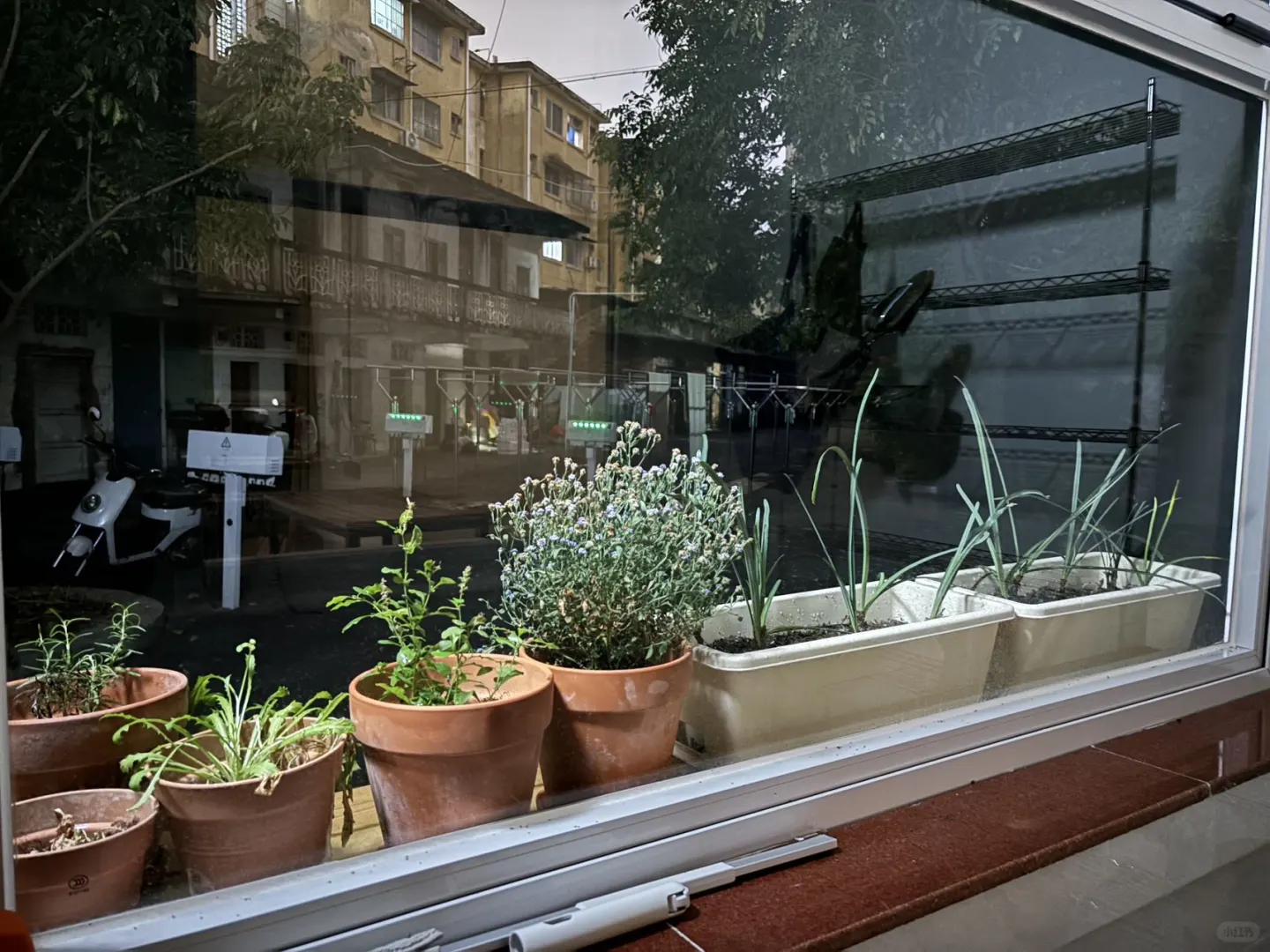 小博物馆 创作驻地| 广西 南宁