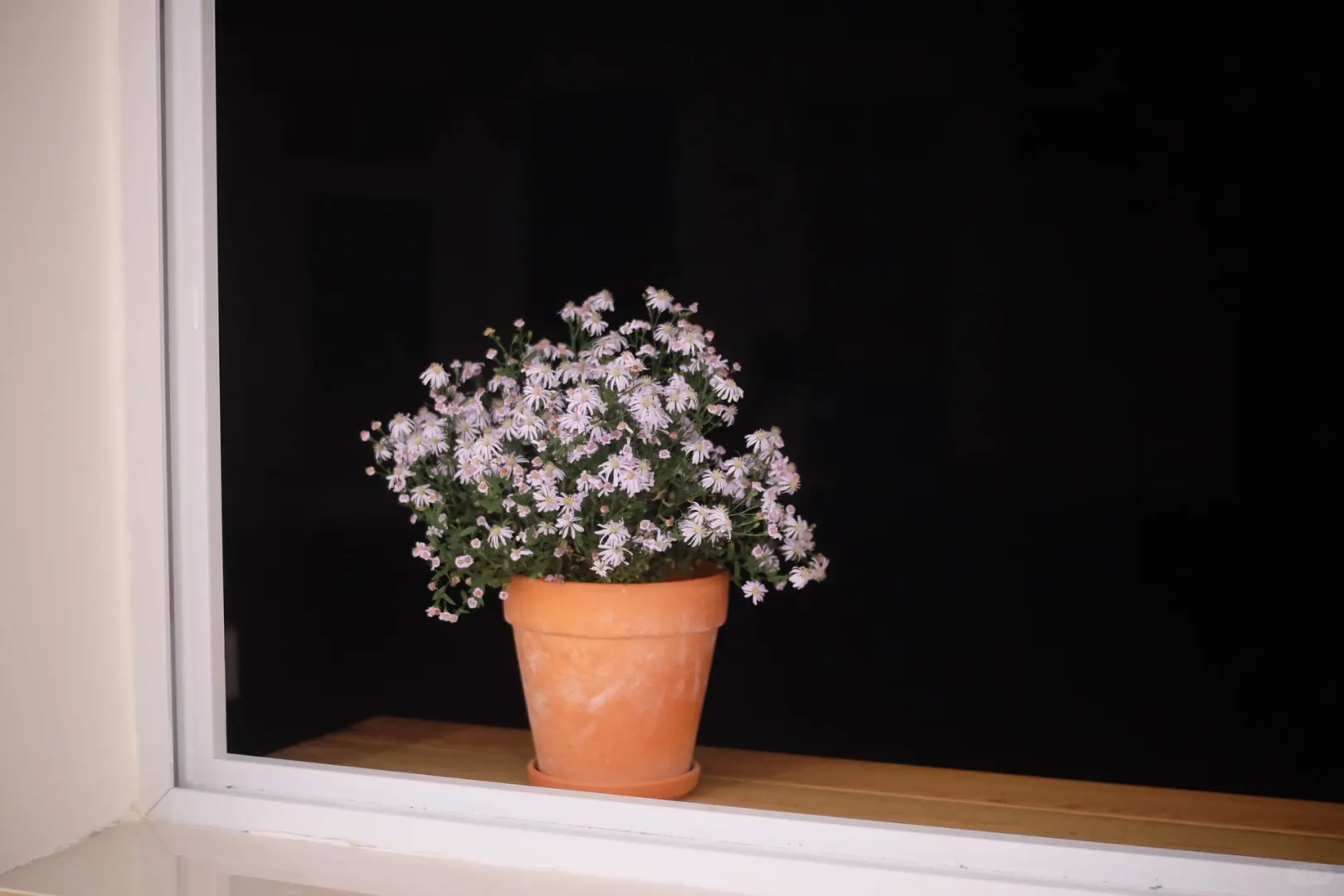 小博物馆 创作驻地| 广西 南宁