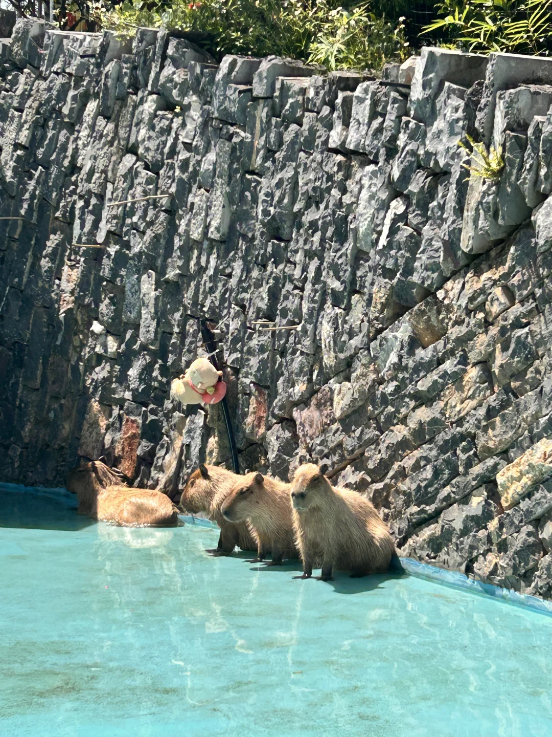 南宁旅游攻略｜一日游到五日游完美行程安排！