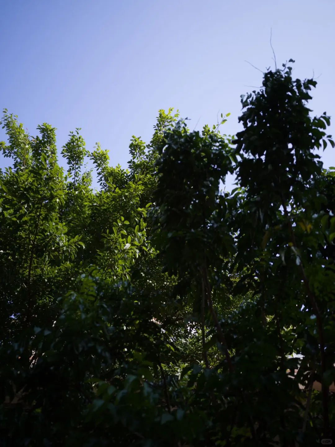 小博物馆 创作驻地| 广西 南宁