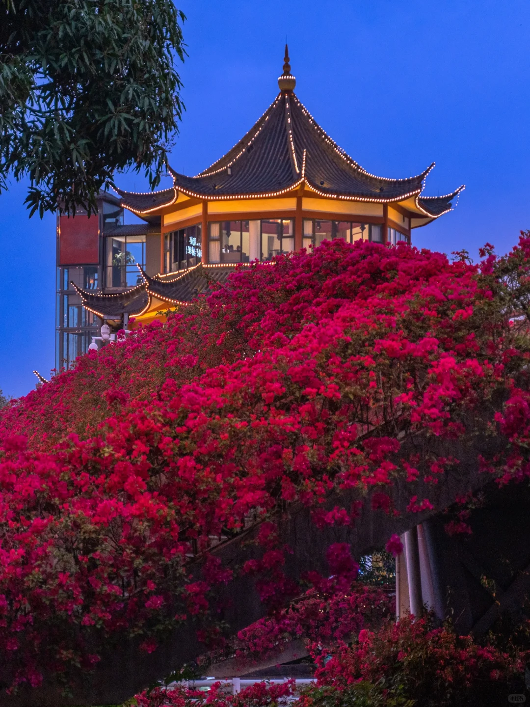 你一定不认识我，但你可能看过我拍的南宁