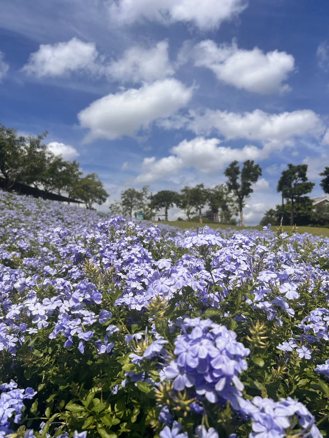 南宁旅游攻略｜一日游到五日游完美行程安排！