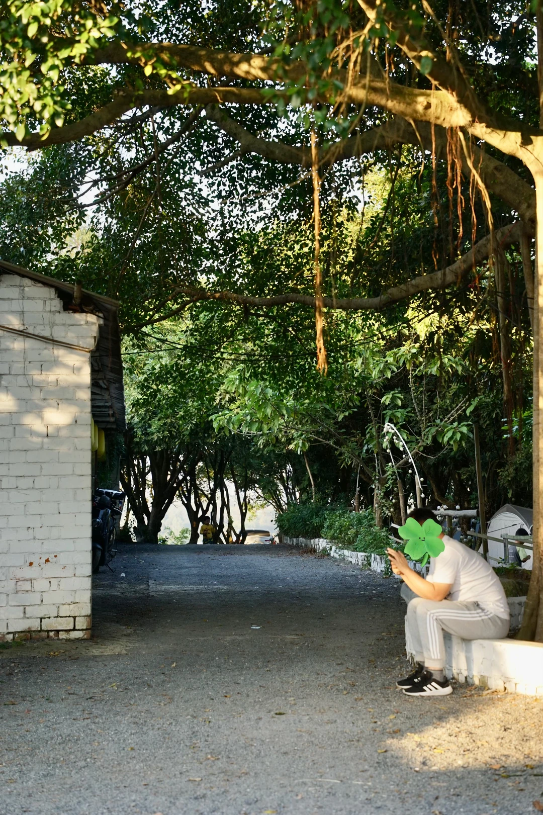 南宁打工人速冲！35分钟到山顶露营地～