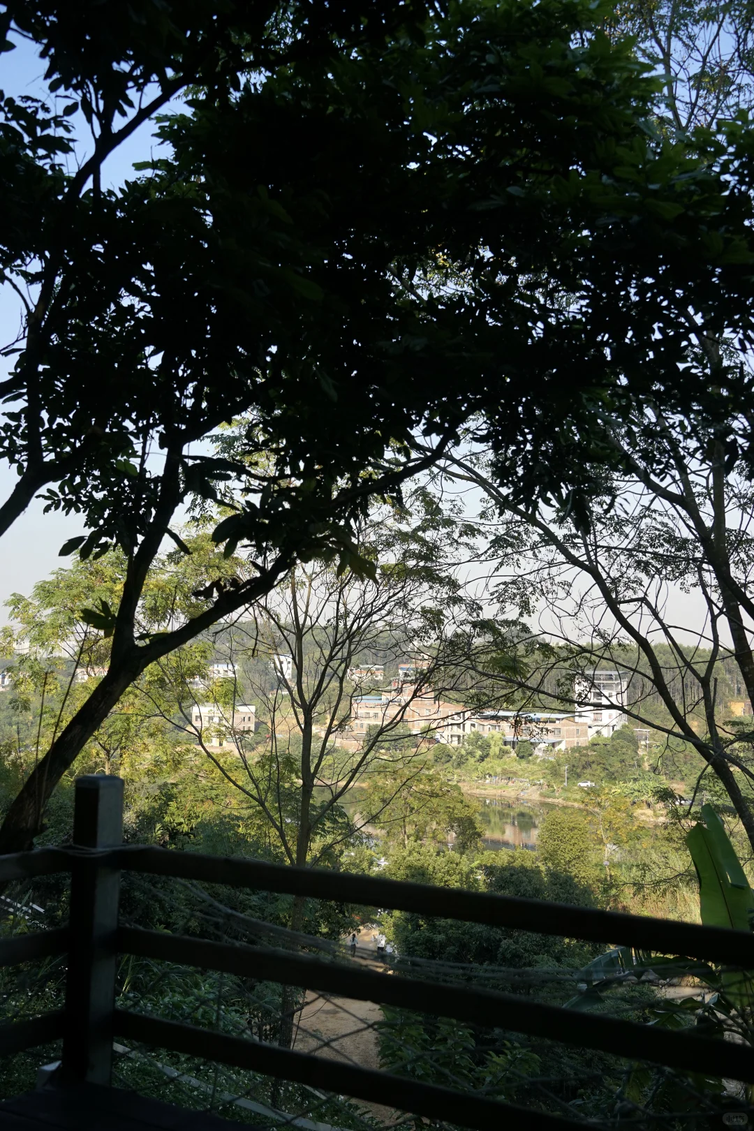 南宁打工人速冲！35分钟到山顶露营地～