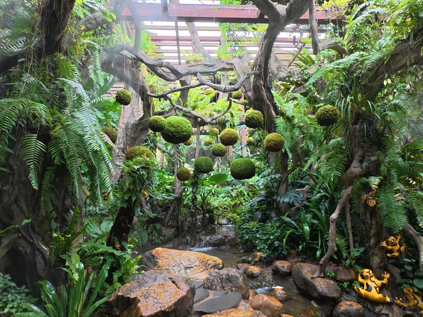 南宁吸氧天花板🌿闯入市区的“绿野仙踪”秘