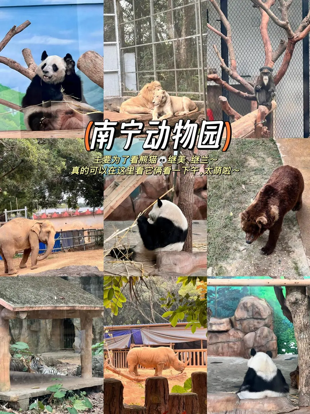 南宁是去过以后觉得一定还会再来的城市