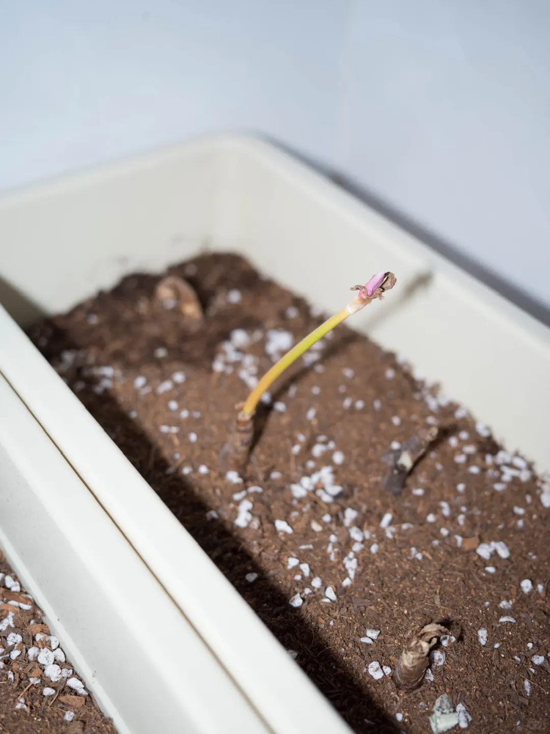 小博物馆 创作驻地| 广西 南宁