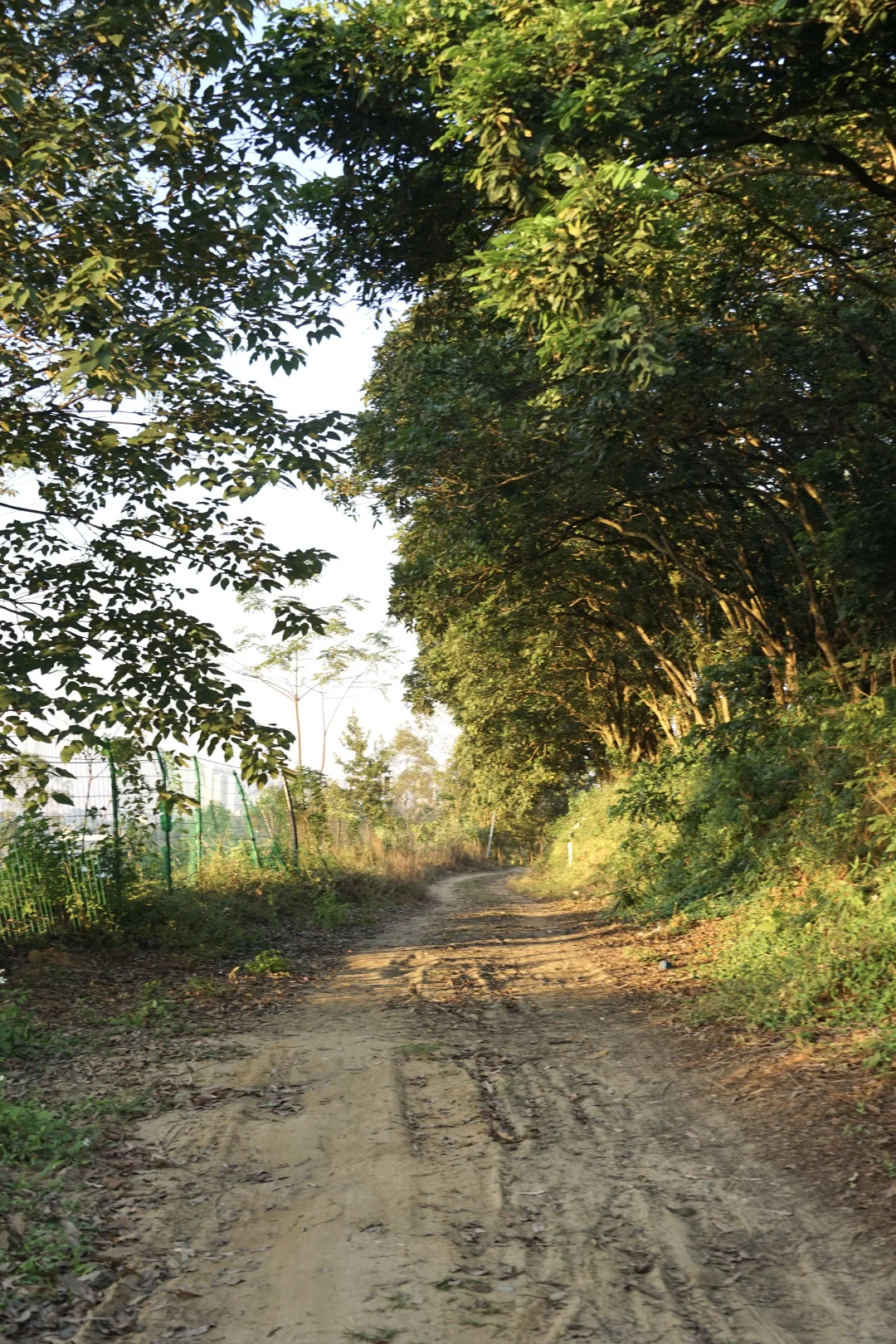 南宁打工人速冲！35分钟到山顶露营地～