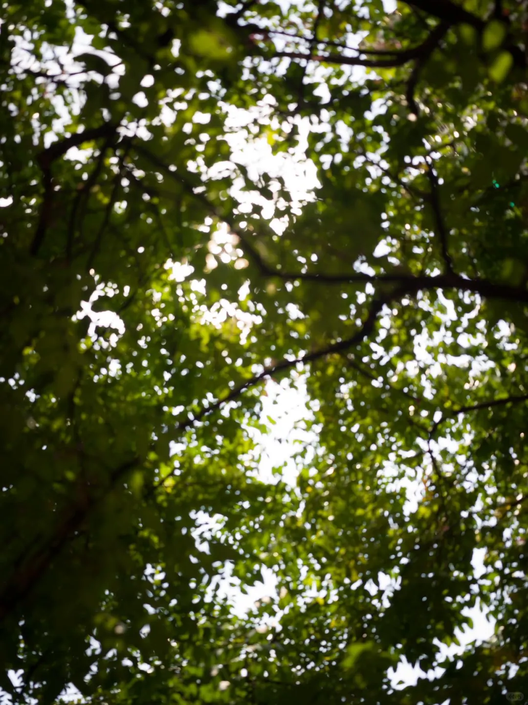 小博物馆 创作驻地| 广西 南宁