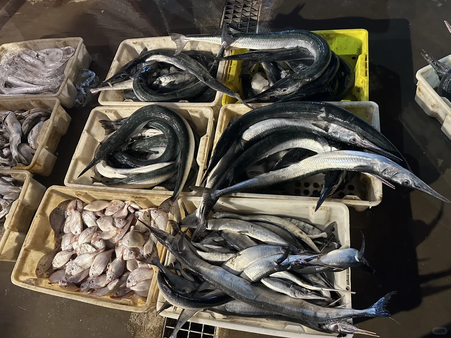 海鲜吃不完呀根本吃不完