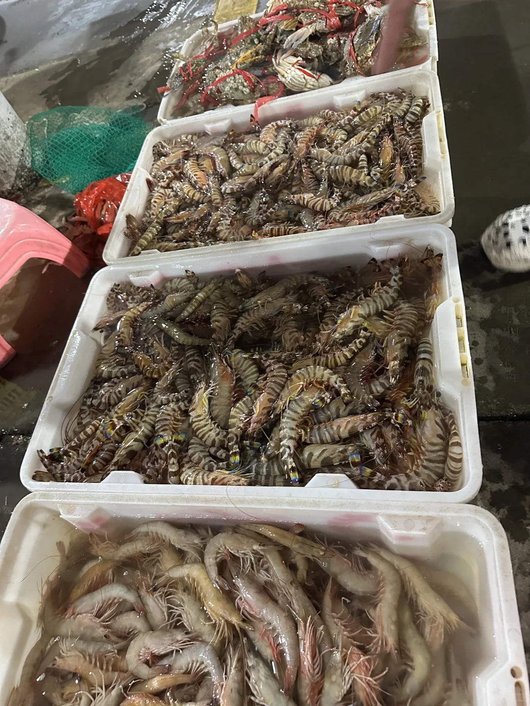 海鲜吃不完呀根本吃不完