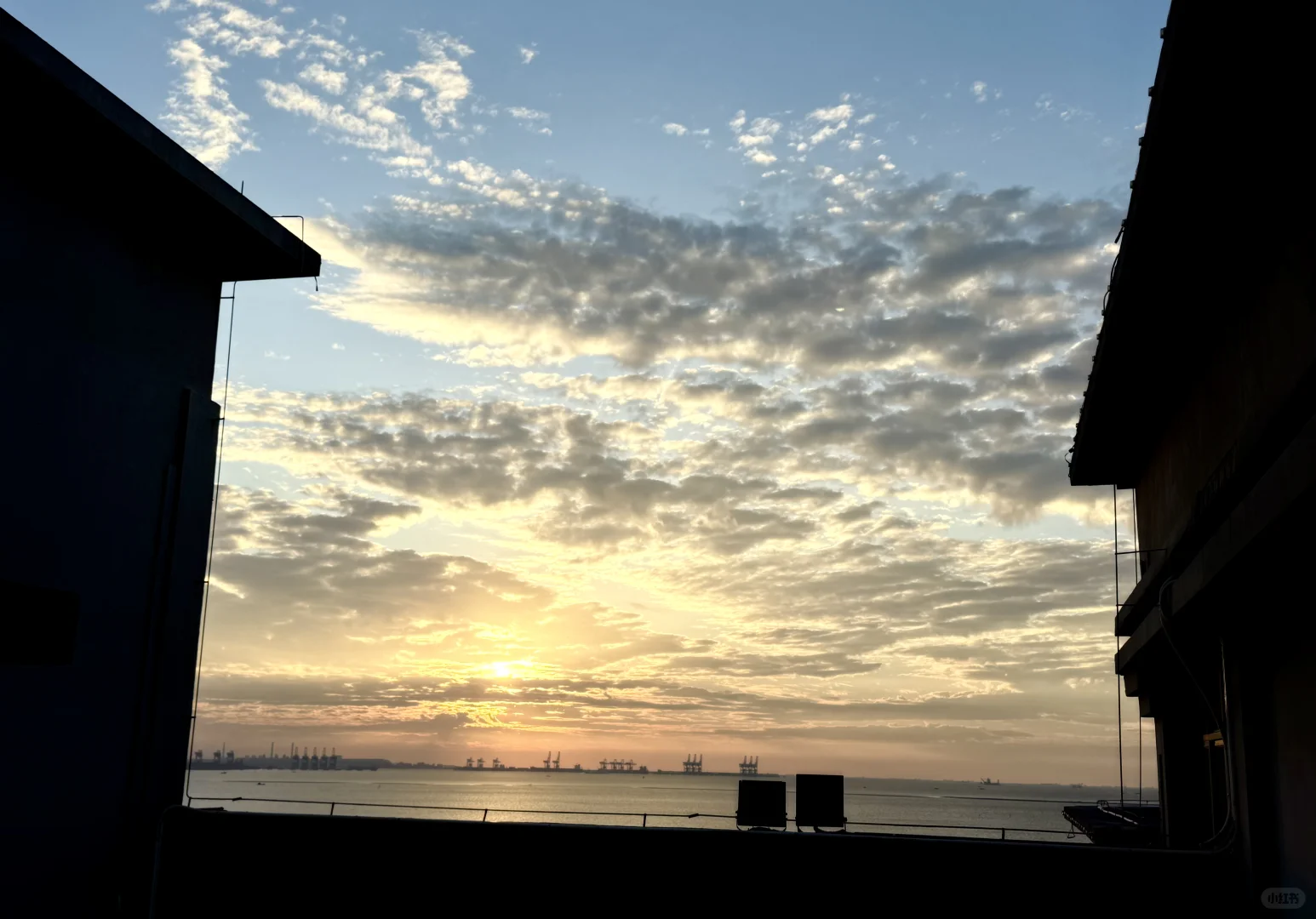 20251114-1116防城港团聚