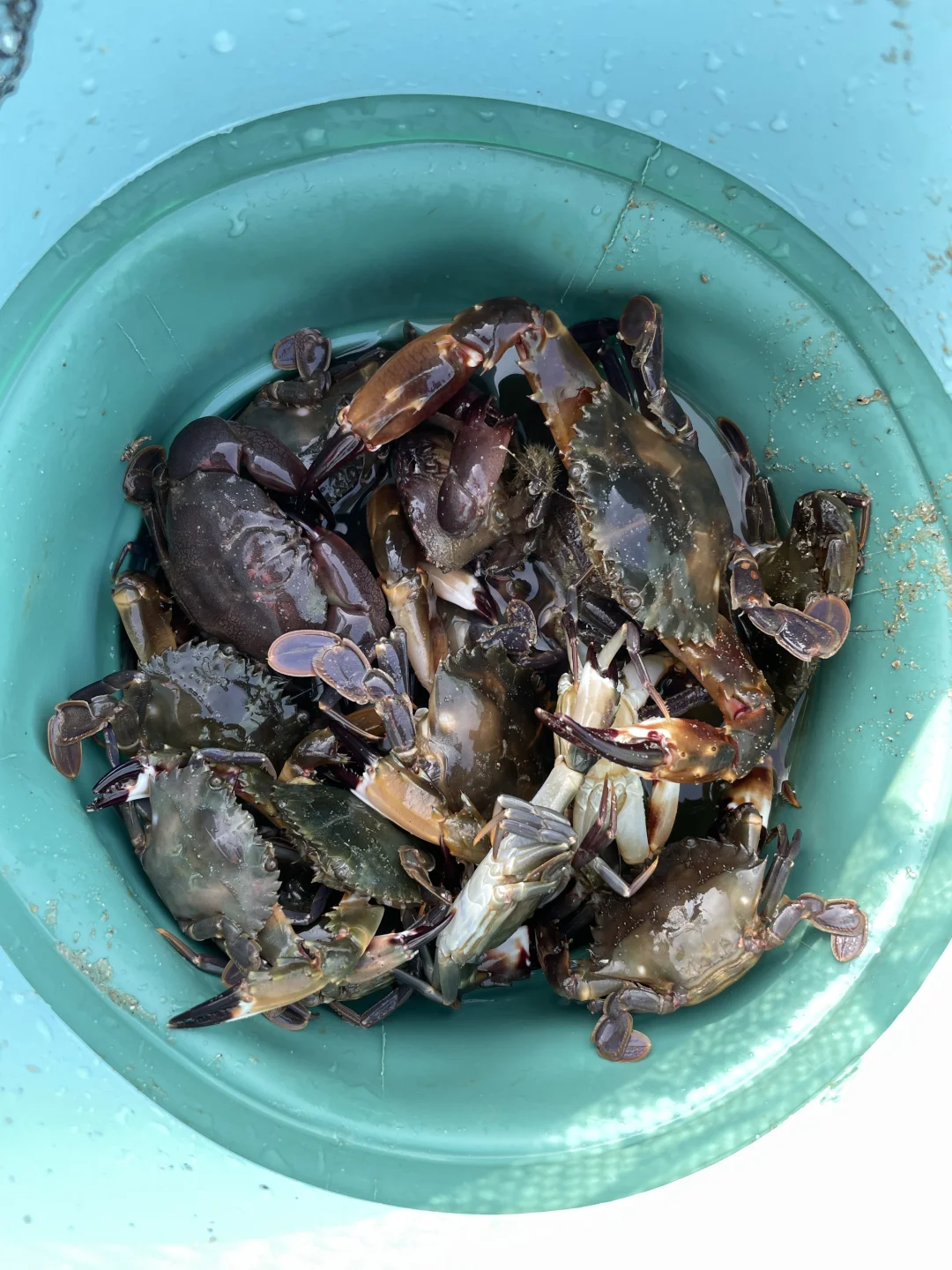 再也不来防城港赶海了