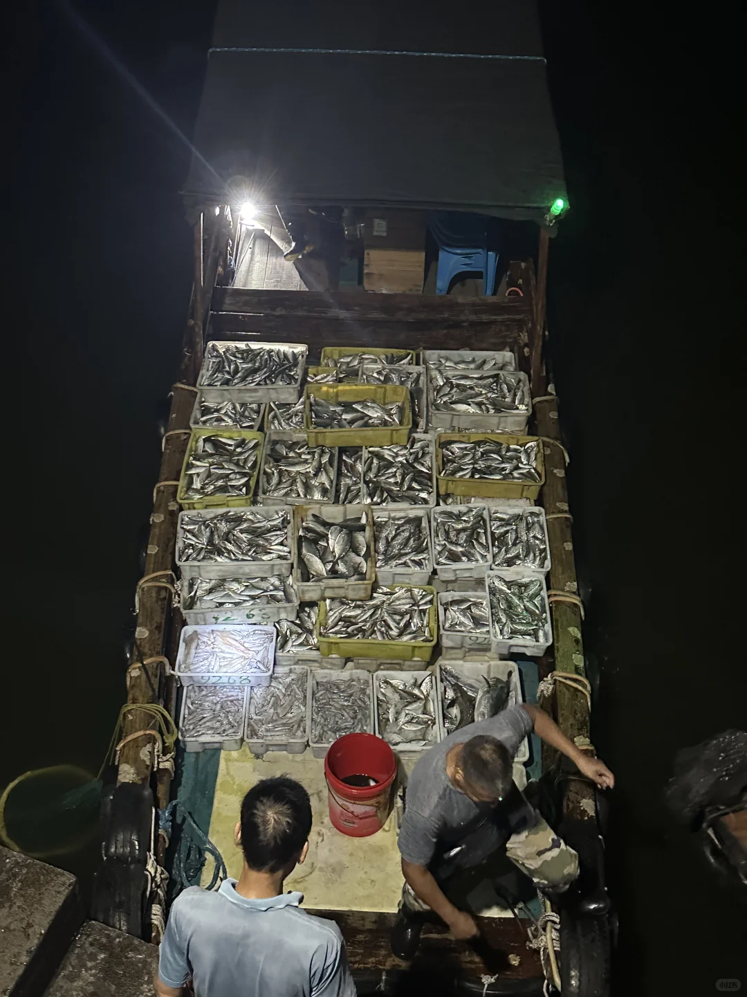 海鲜吃不完呀根本吃不完