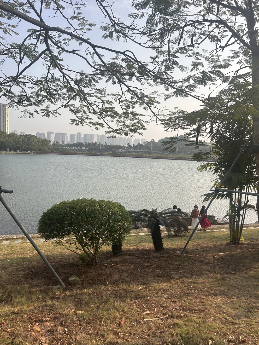 过冬了，防城港好多东北人