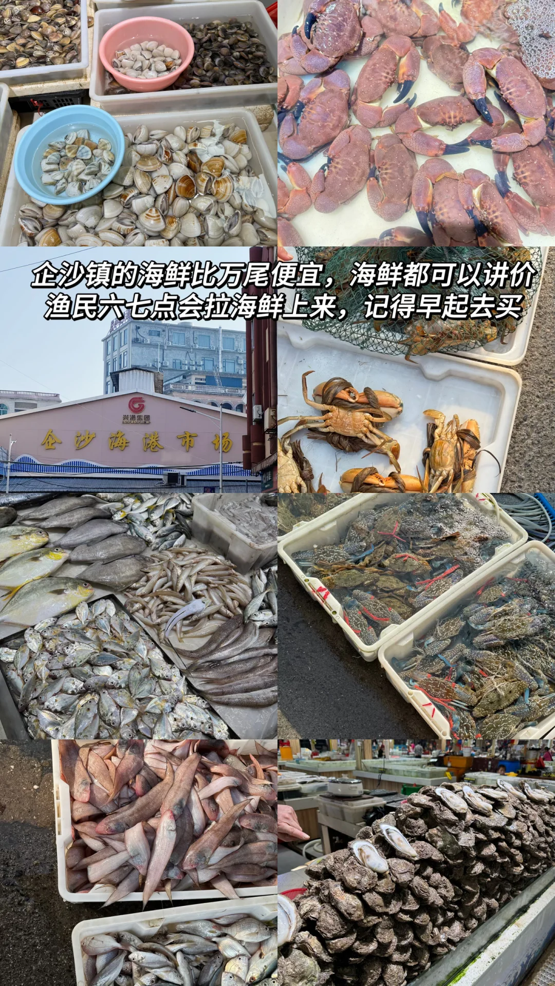 防城港|3天人均2000💰景点合集附路线图❗️