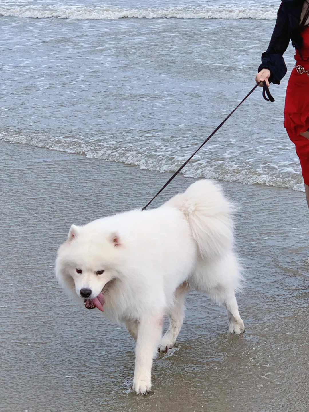 谁懂啊！不要相信防城港的天气预报！